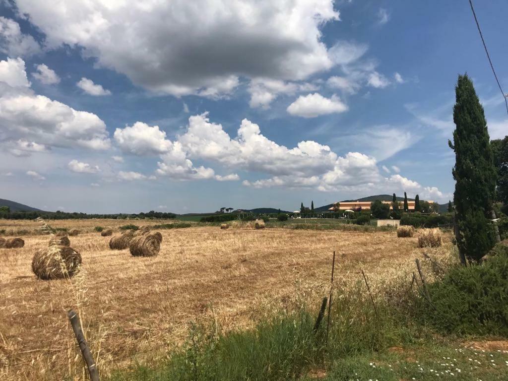 Agriturismo Colle D' Oro 佩夏罗马纳 外观 照片